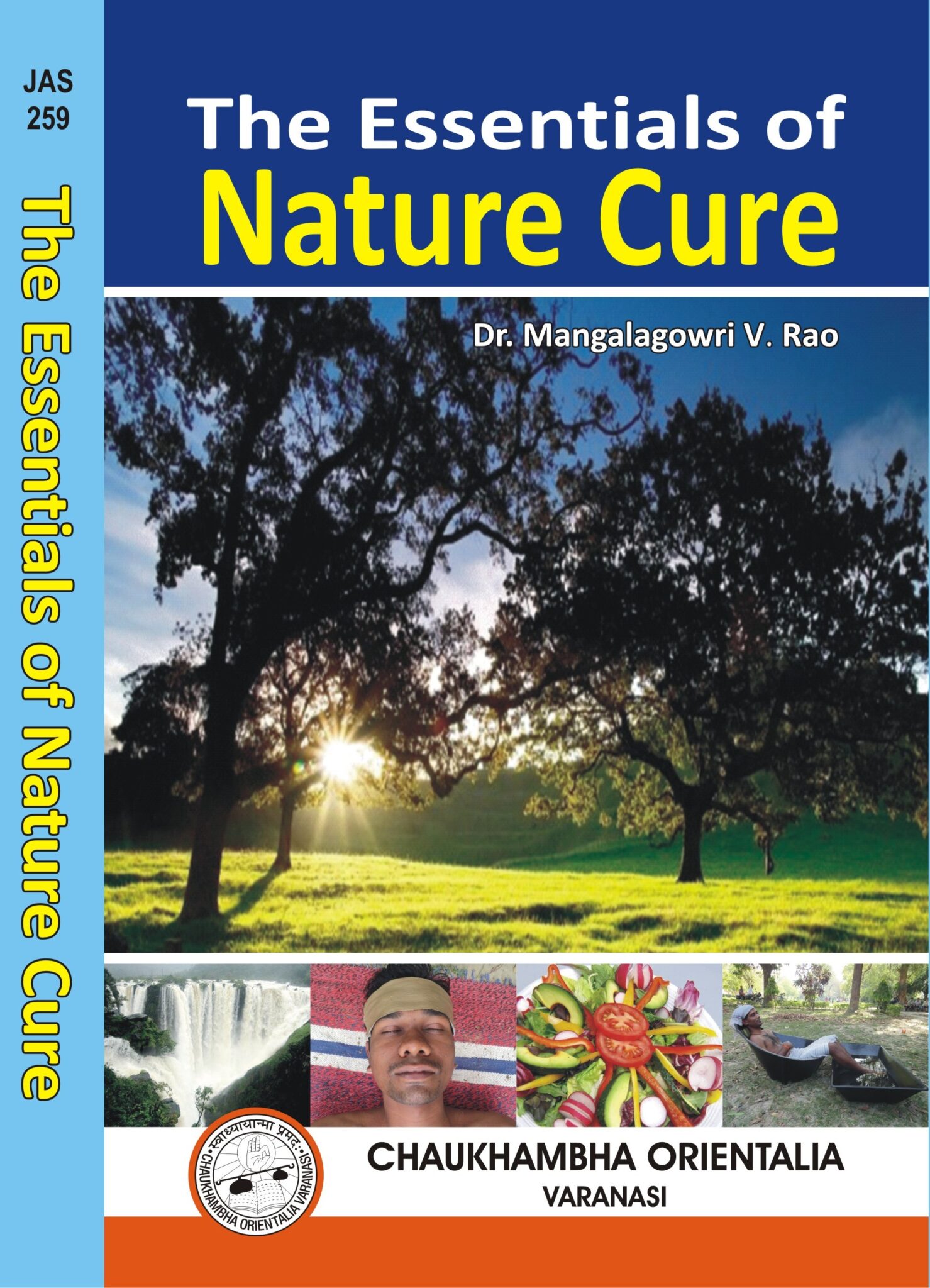 The Essentials of Nature Cure Chaukhambha