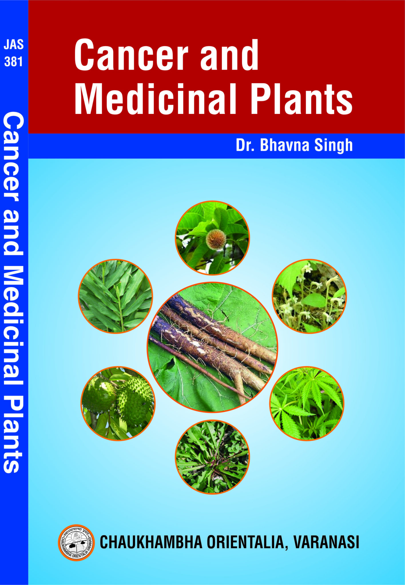 Cancer and Medicinal Plants - Chaukhambha