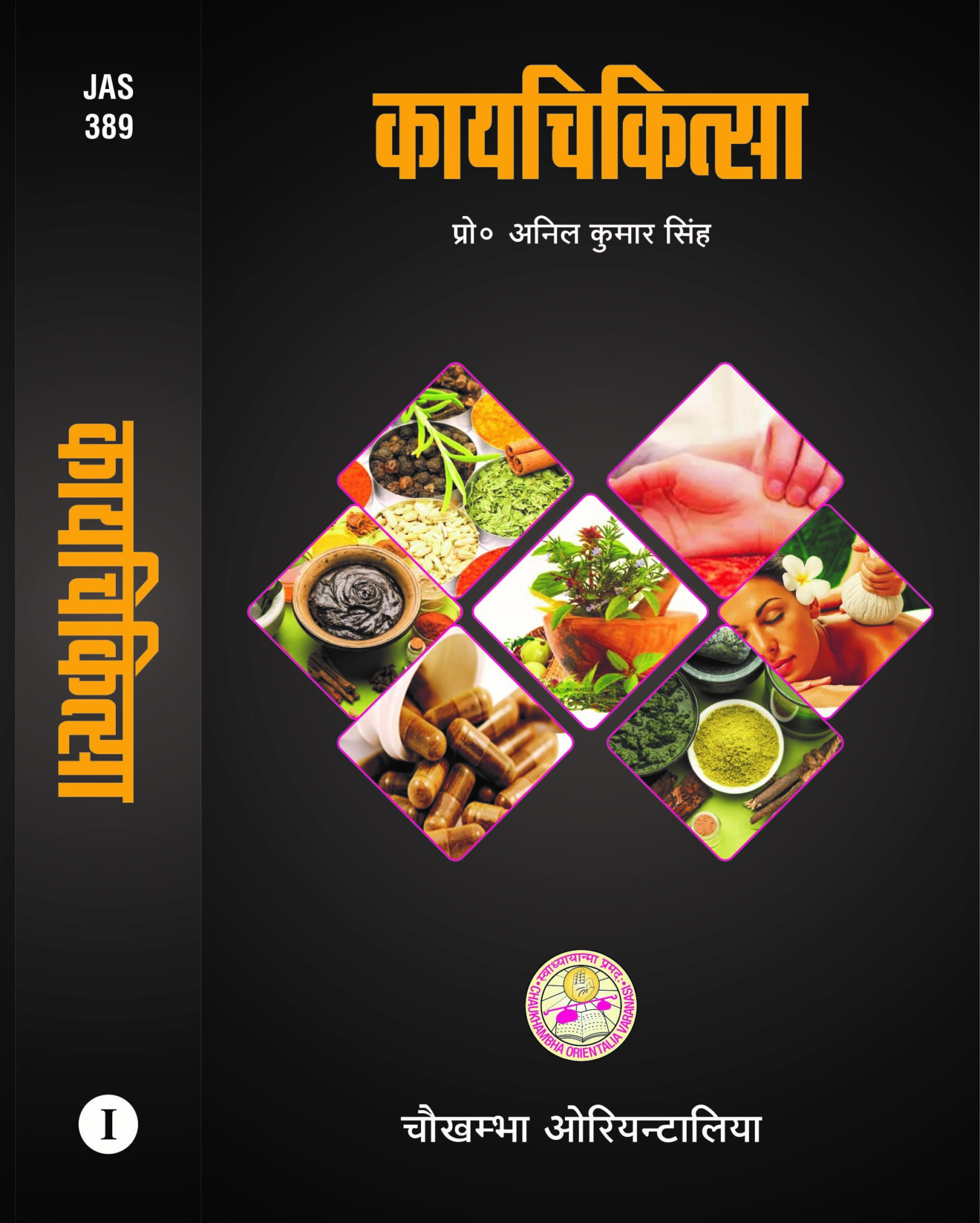 Kaya Chikitsa (Volume 1) (Hindi) Chaukhambha